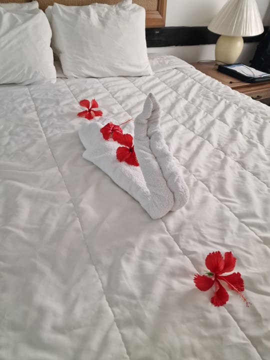 Zimmer Hotel Viva Dominicus Beach by Wyndham - All Inclusive Resort