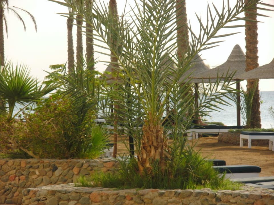 Weg zu Marina und Riff Arabia Azur Resort