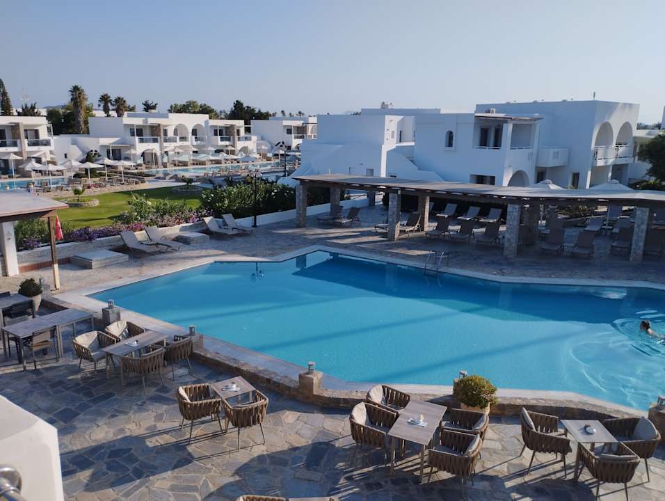 Pool Palladium Hotel