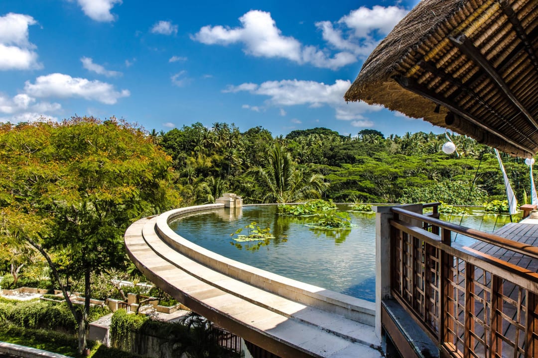 Lotus Pond Four Seasons Resort Bali at Sayan
