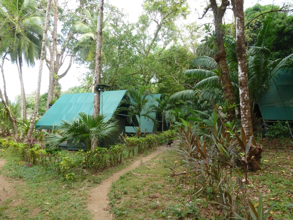 Gartenanlage                                       Tented Camp Corcovado Adventures