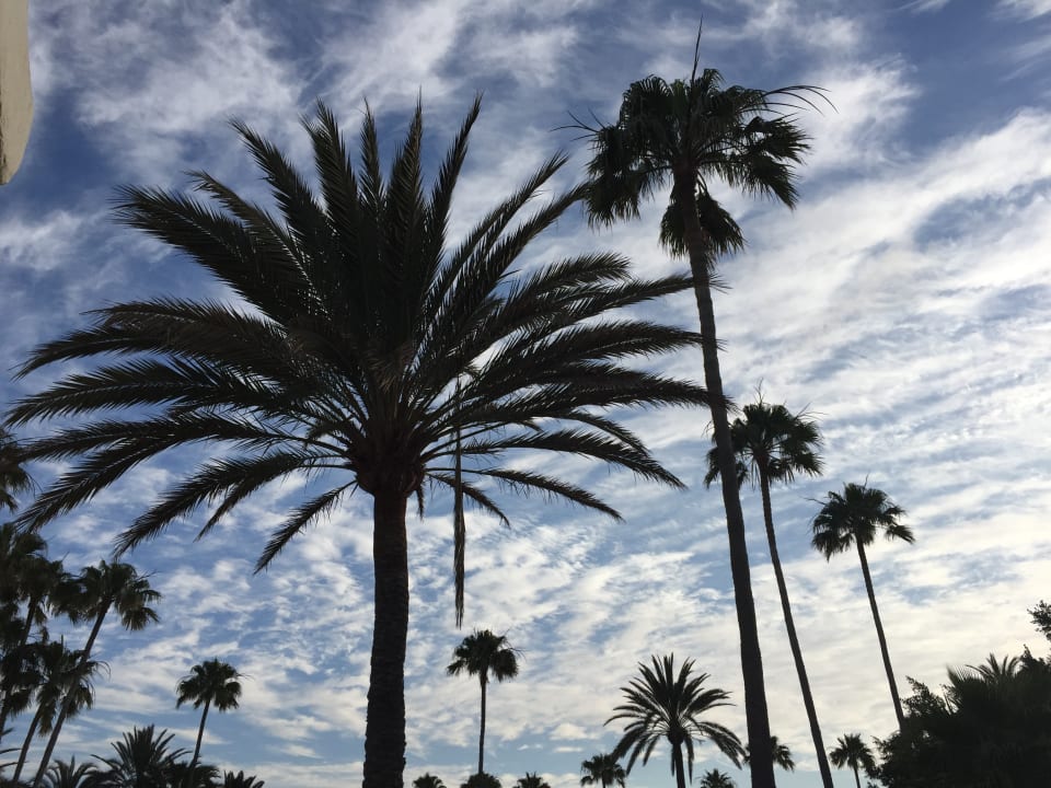Ausblick Sahara Beach Club