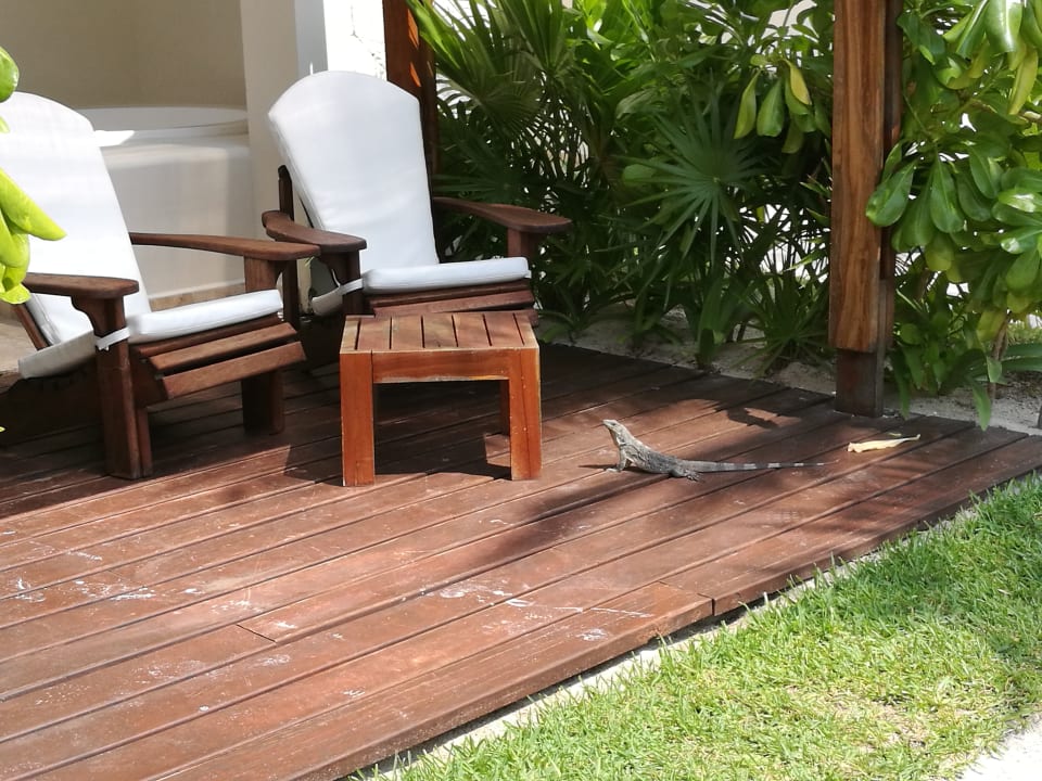 Gartenanlage Akumal Bay Beach & Wellness Resort