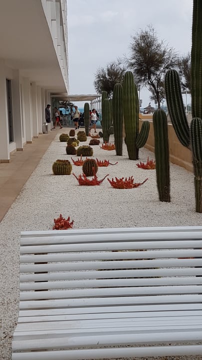 Sonstiges The Sea Hotel by Grupotel - Adults only