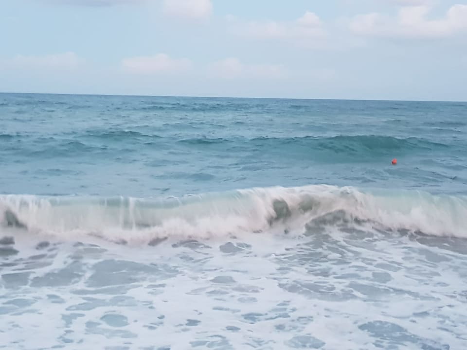 Strand Sentido Marea