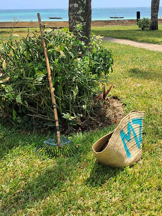 Gartenanlage Neptune Paradise Beach Resort & Spa