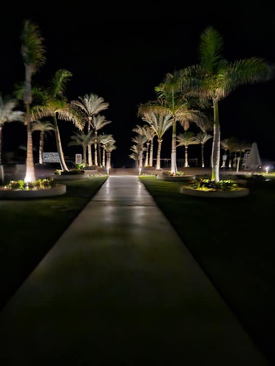 Außenansicht Steigenberger Resort Alaya Marsa Alam - Red Sea - Adults only