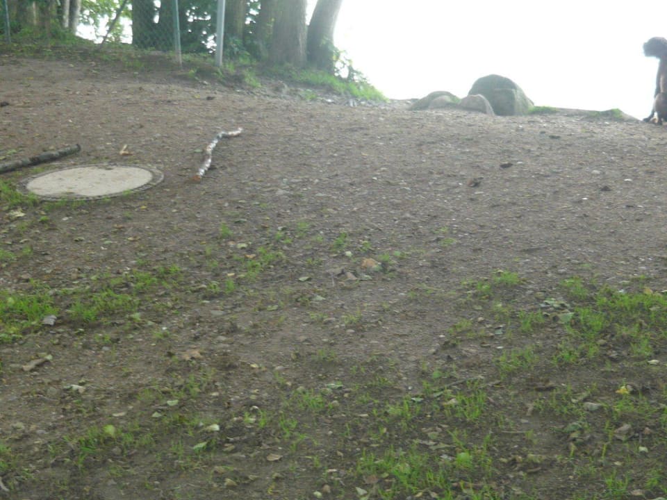 Nicht für Kleinkinder! Ferienparadies Klingberg