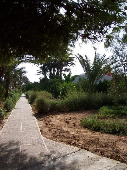 ein Weg durch die Gartenanlage Hotel Sangho Club Zarzis
