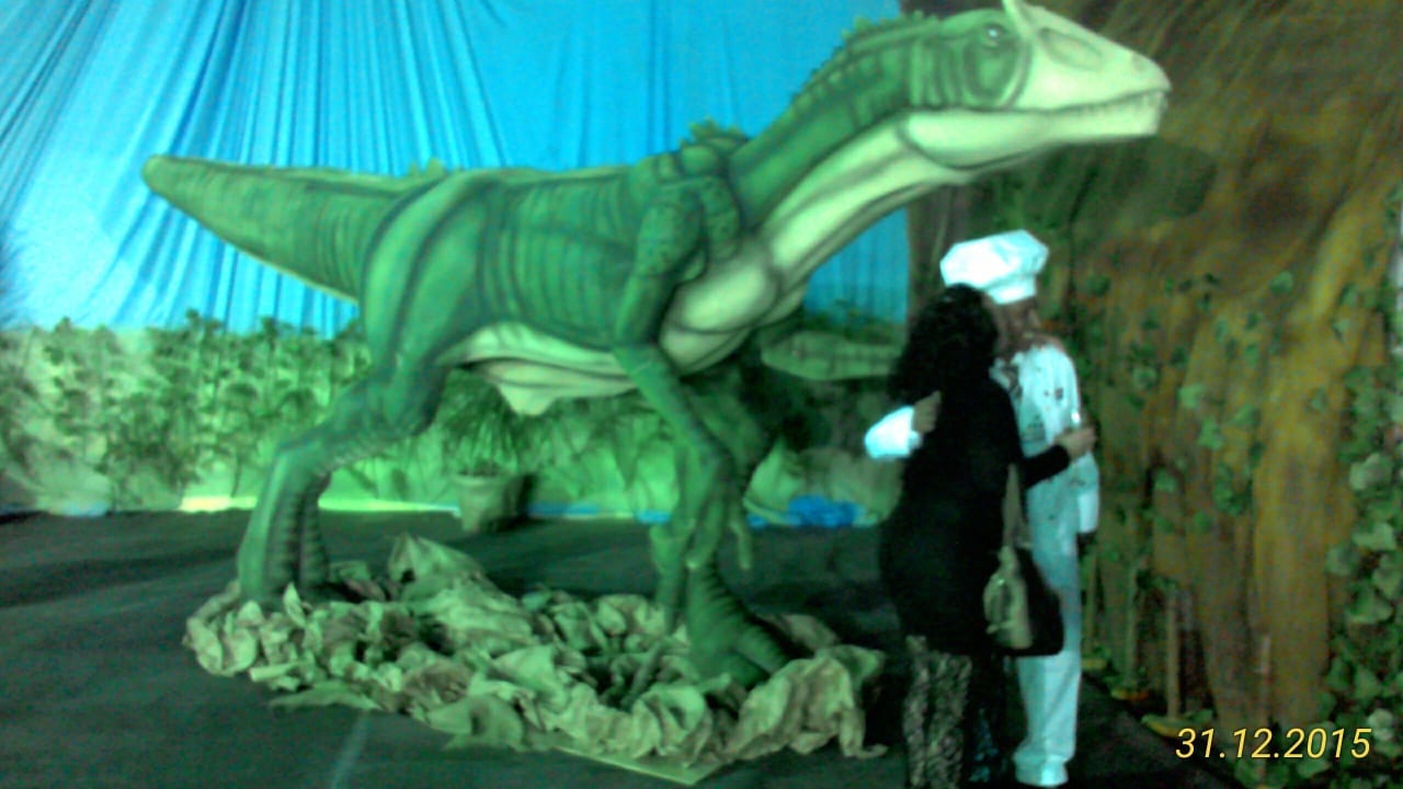 Silvester 2015/16 Beach Albatros Resort