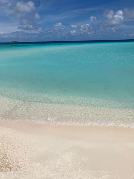 Strand Summer Island Maldives