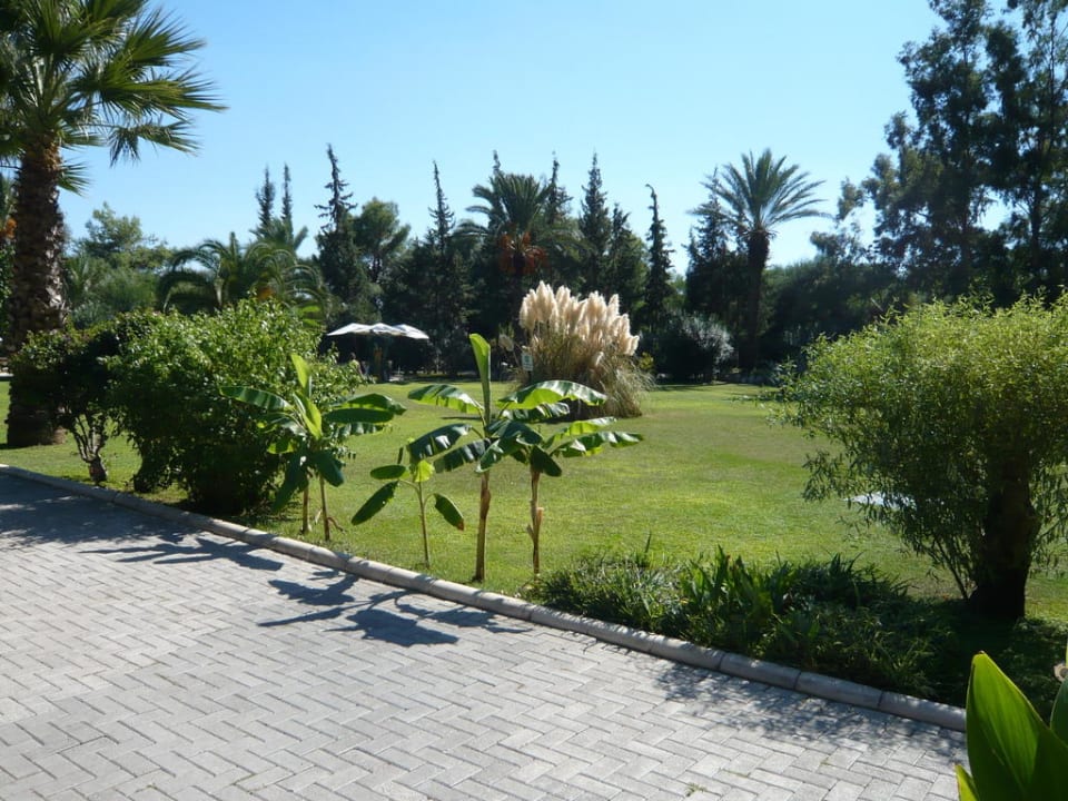 Weg zum Strand TUI MAGIC LIFE Sarigerme