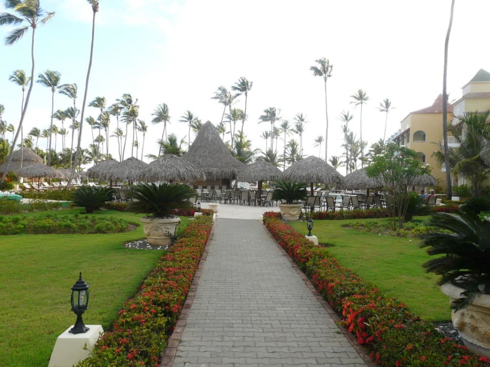 Pool-Bar TRS Turquesa Hotel - Adults only