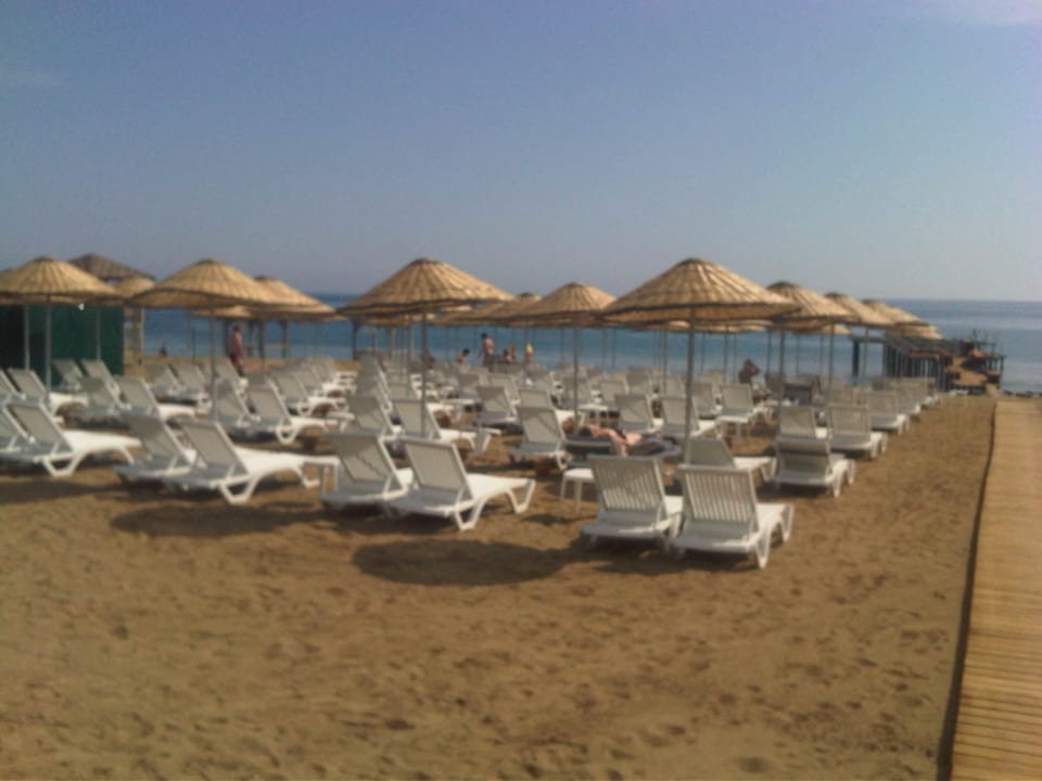 Strand Dizalya Palm Garden