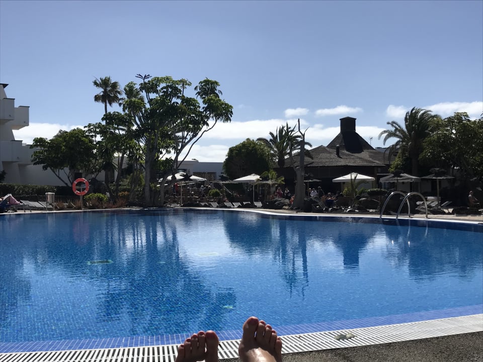 Beheizter Pool mit Blick auf die Poolbar allsun App.-Hotel Albatros