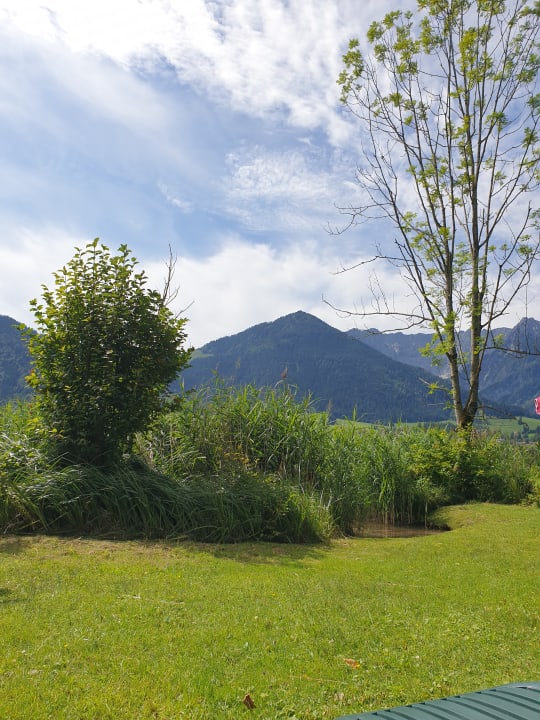 Ausblick Hotel Bellevue am See