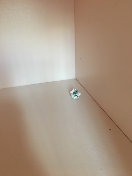 Zimmer Hotel Zorna Plava Laguna