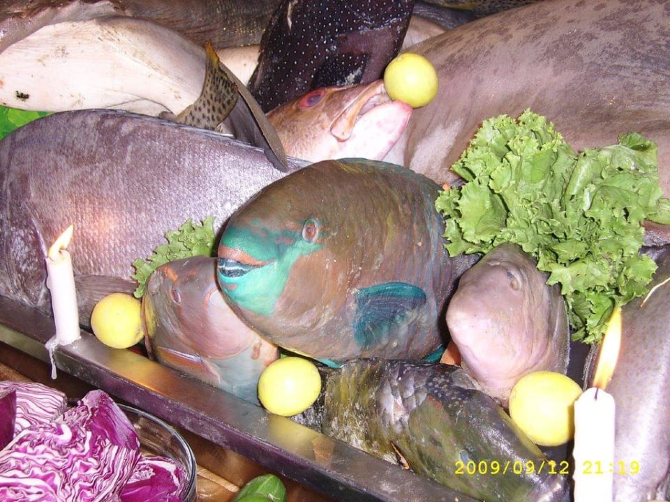 Dekoration Pickalbatros Alf Leila Wa Leila Resort - Neverland Hurghada