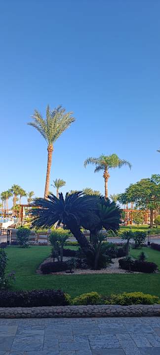 Außenansicht Continental Hotel Hurghada