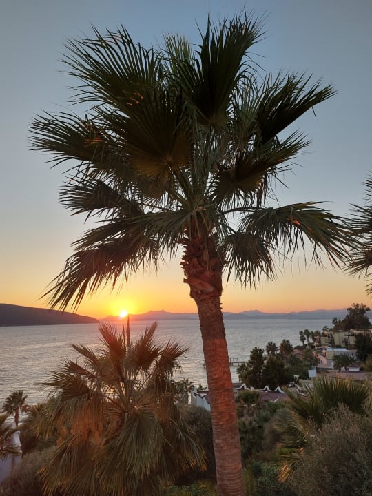 Ausblick TUI MAGIC LIFE Bodrum - Adult Only (16+)