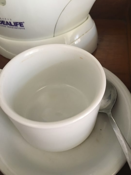 Zimmer Puri Santrian