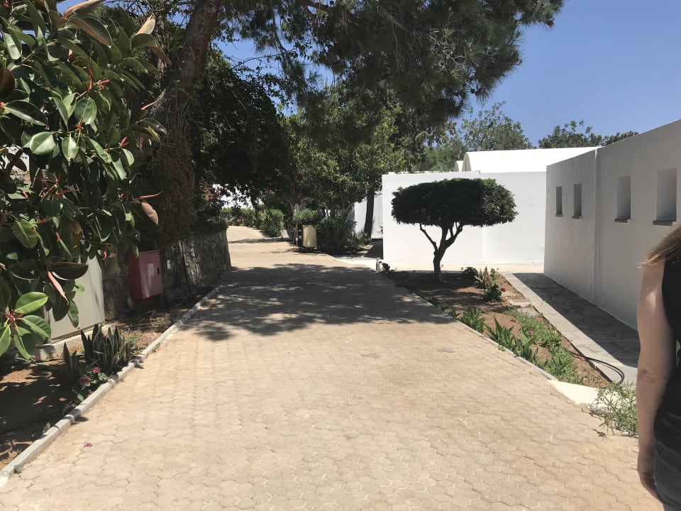 Außenansicht Kakkos Beach Hotel