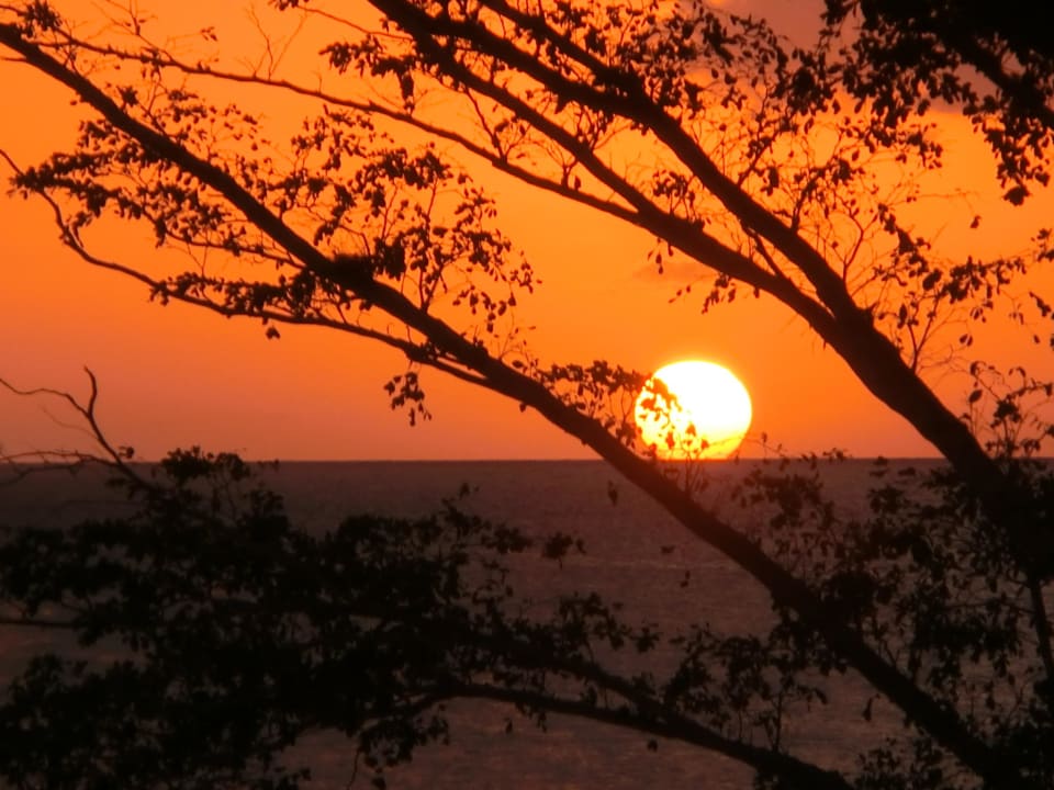 Sonnenuntergang Blick vom Balkon Hotel Riu Negril