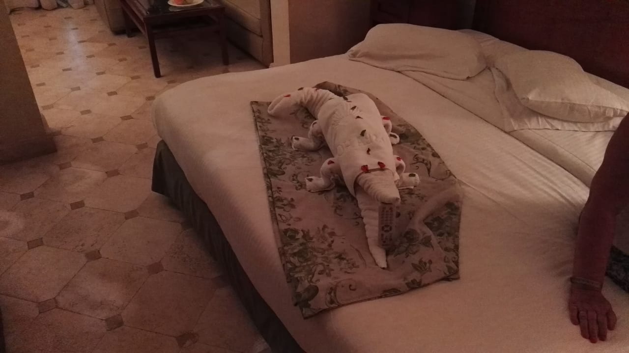 Zimmer Ghazala Gardens