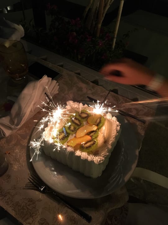 Gastro Paloma Oceana