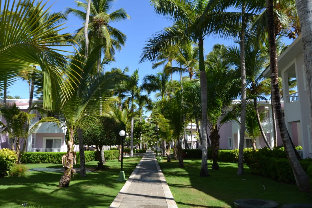 Gartenanlage Hotel Riu Bambu