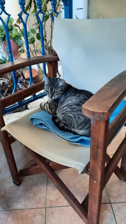 Sonstiges Hotel Apollon