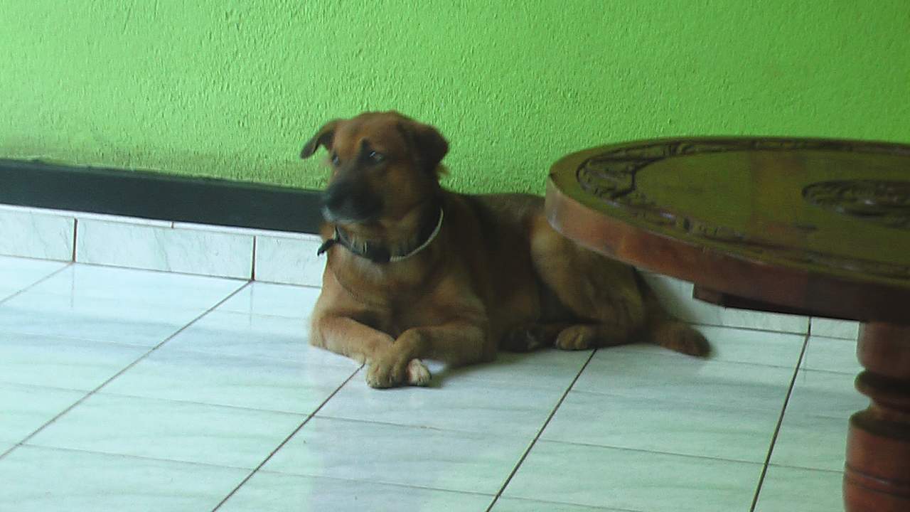 Außenansicht Sunshine Guesthouse