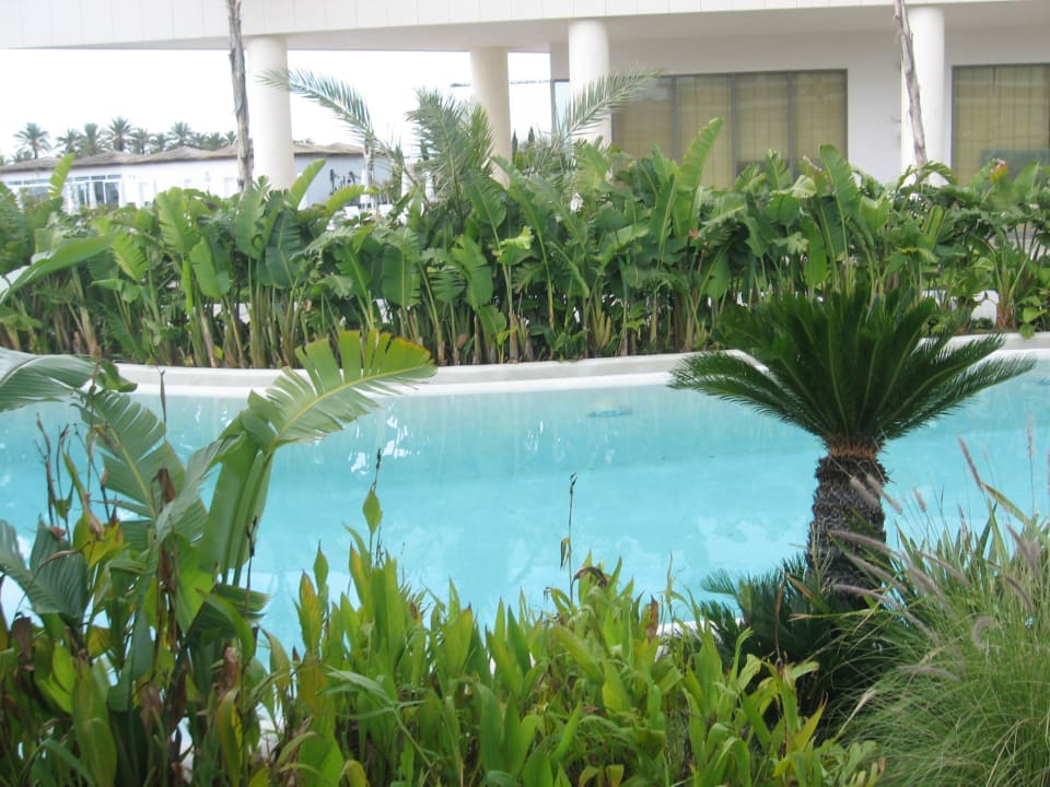 Территория Maxx Royal Belek Golf Resort