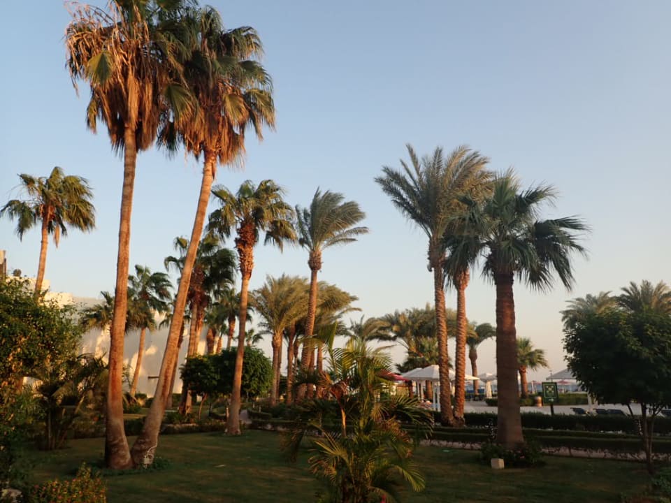 Ausblick Amarina Abu Soma Resort & Aquapark