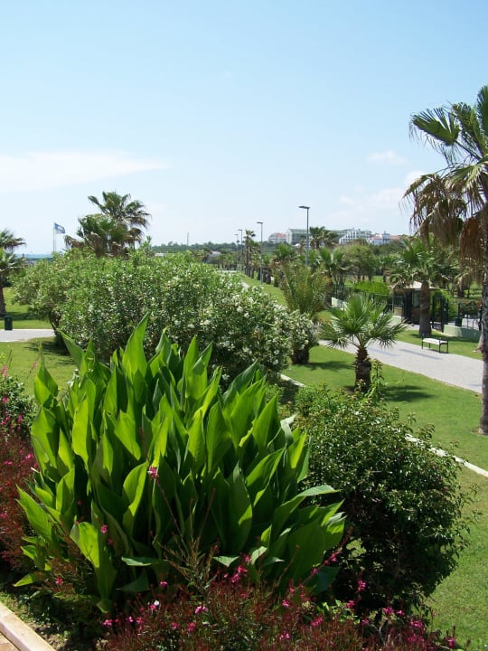 Gartenimpressionen VONRESORT Golden Coast