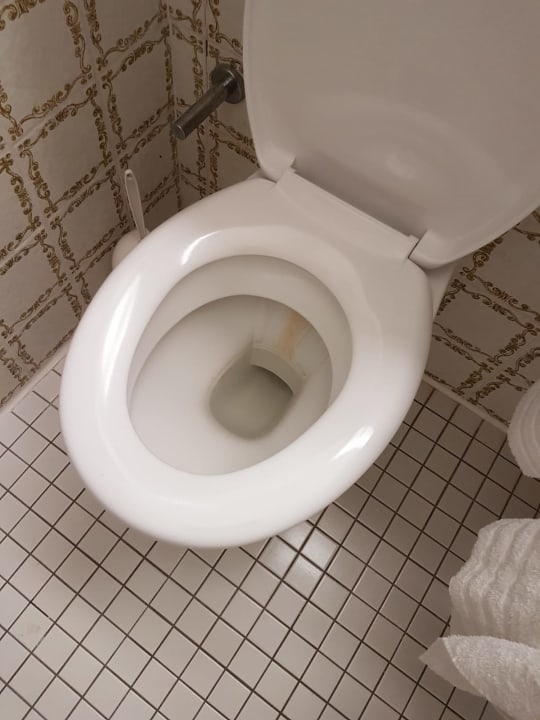 Zimmer Hotel Excelsior Ludwigshafen