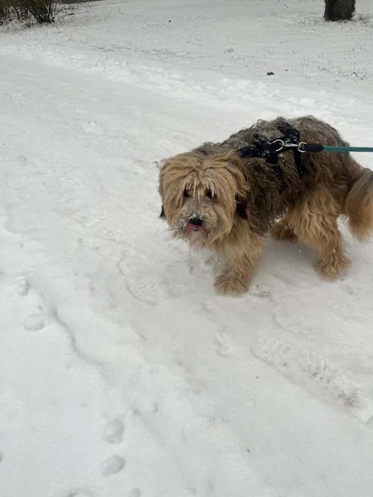 Sonstiges Hotel Kaiserhof Victoria