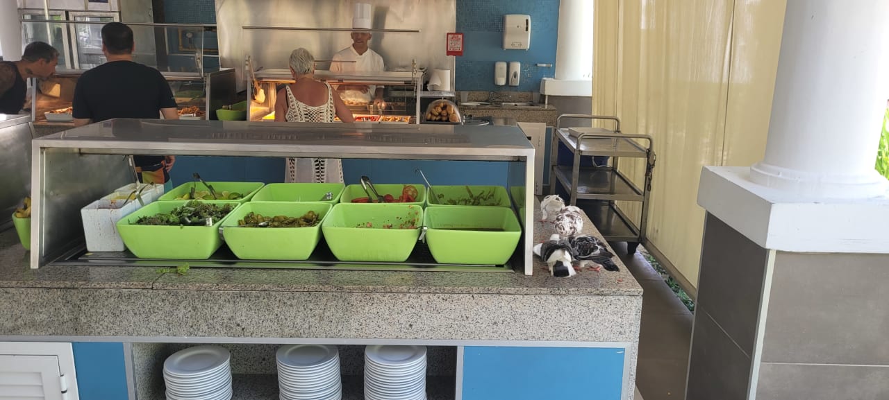 Gastro Hotel Riu Bambu