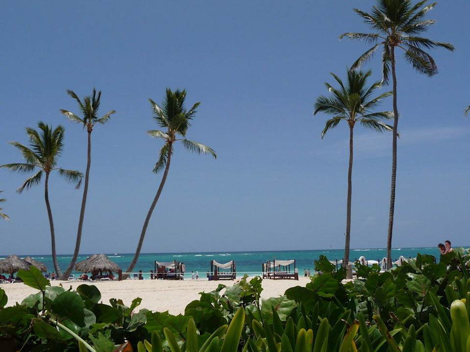 Der Weg zum Strand Punta Cana Princess All Suites Resort & Spa