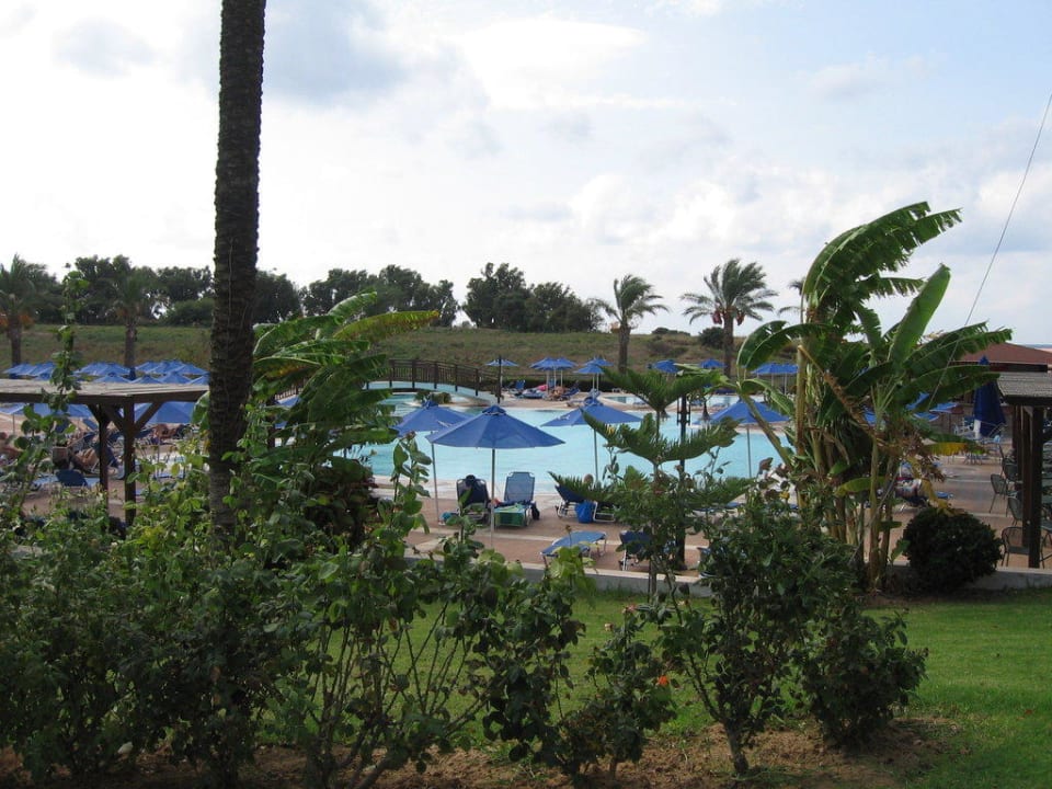 "Animations" Pool Hotel Horizon Beach Resort