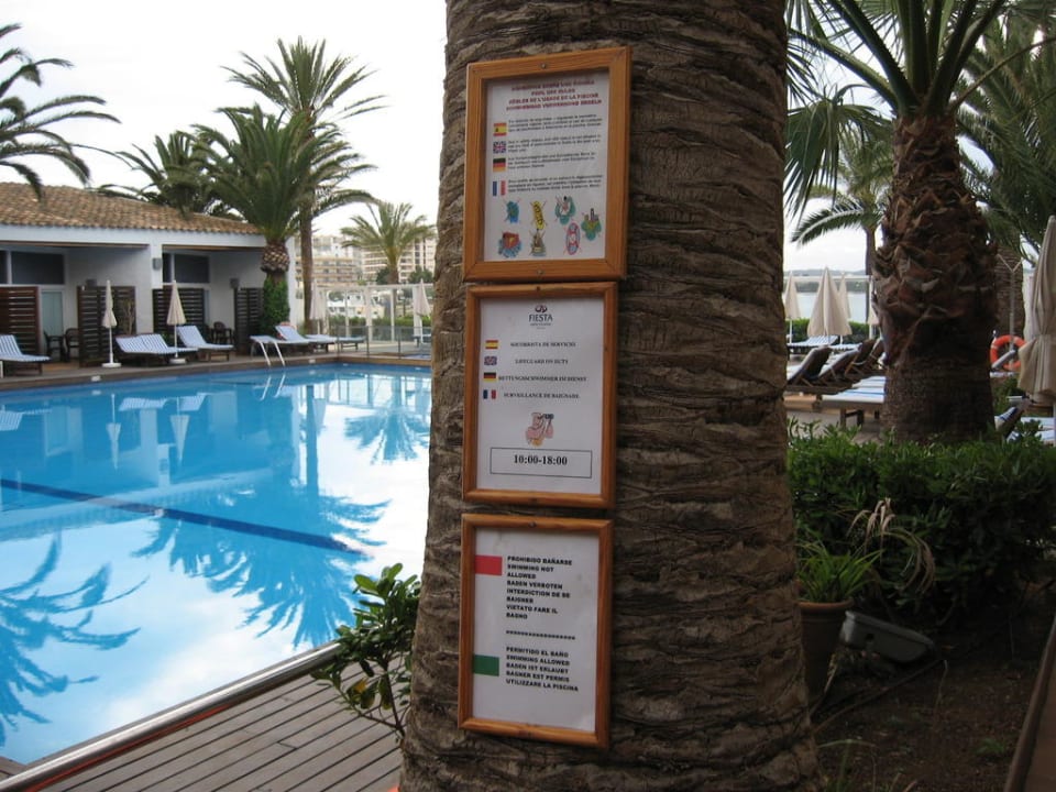 Pool mit Bademeister Palladium Hotel Palmyra - Adults only
