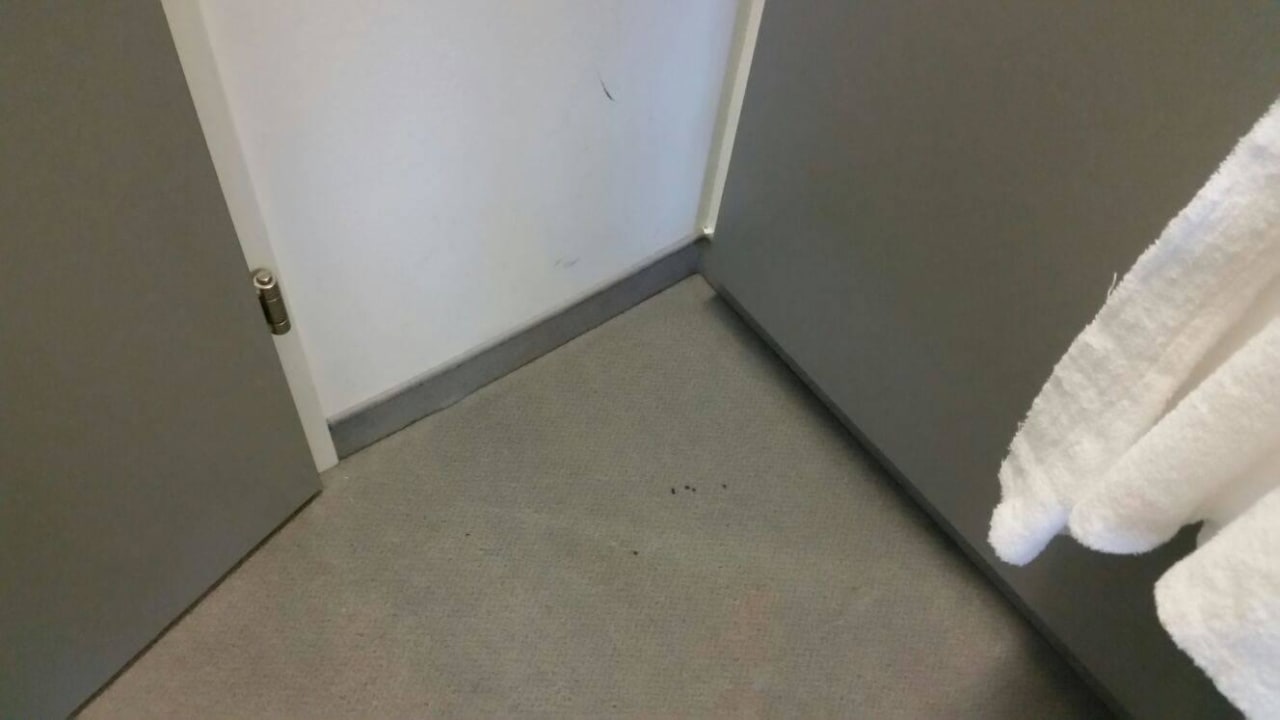 Ameisen bei der Eingangstüre All In Red Thermenhotel