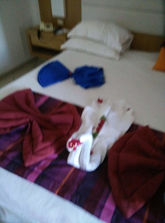 Zimmer Skanes Serail Aquapark