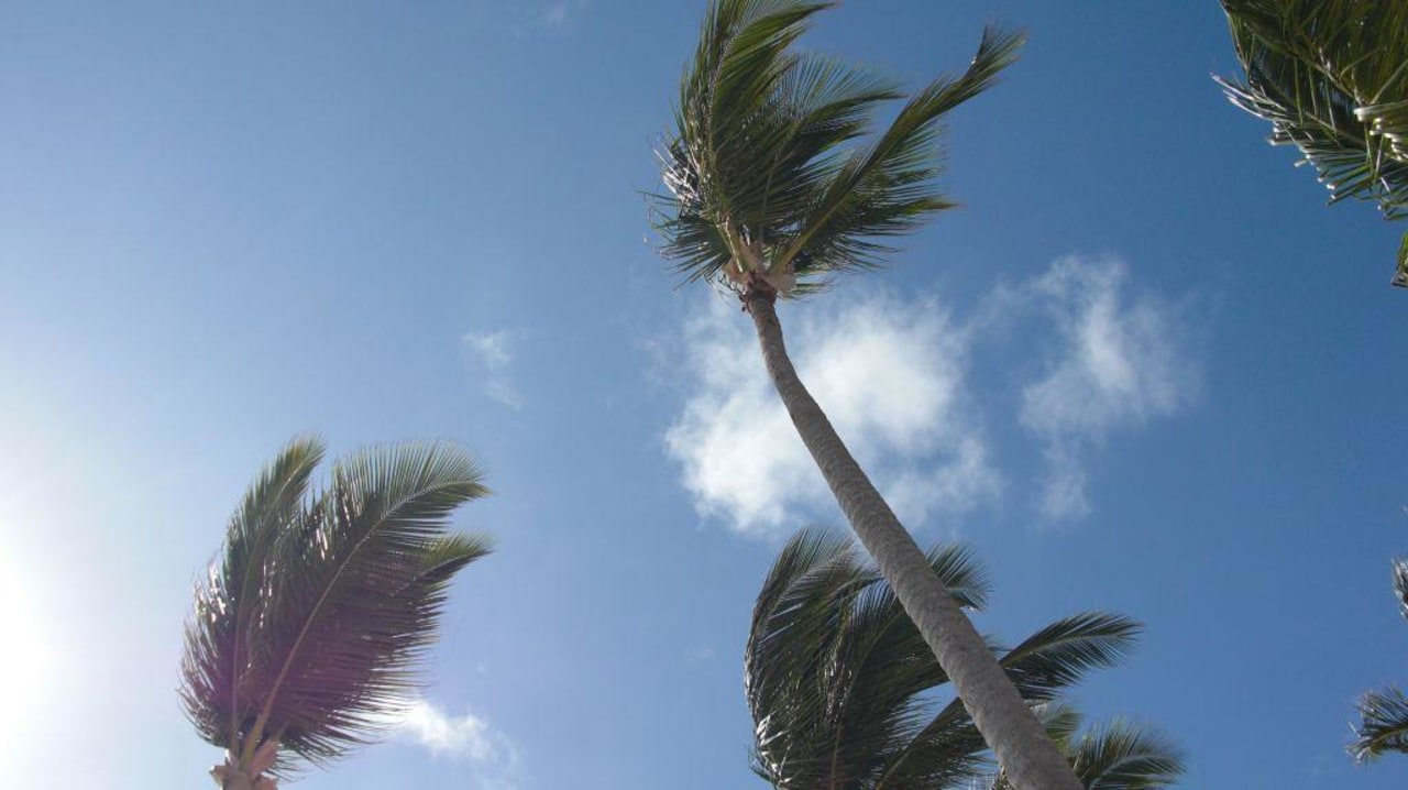 schöne Aussichten bei schönem Wetter Grand Sirenis Punta Cana Resort & Aquagames