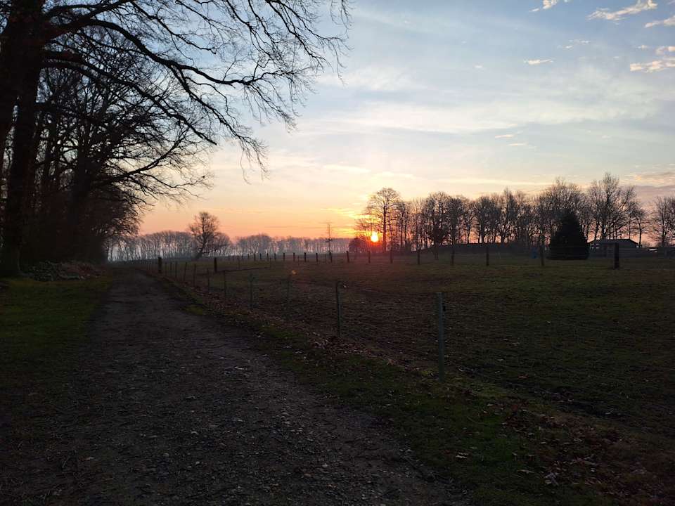 Sonstiges Ferienbauernhof Liesenberg mit Meerblick
