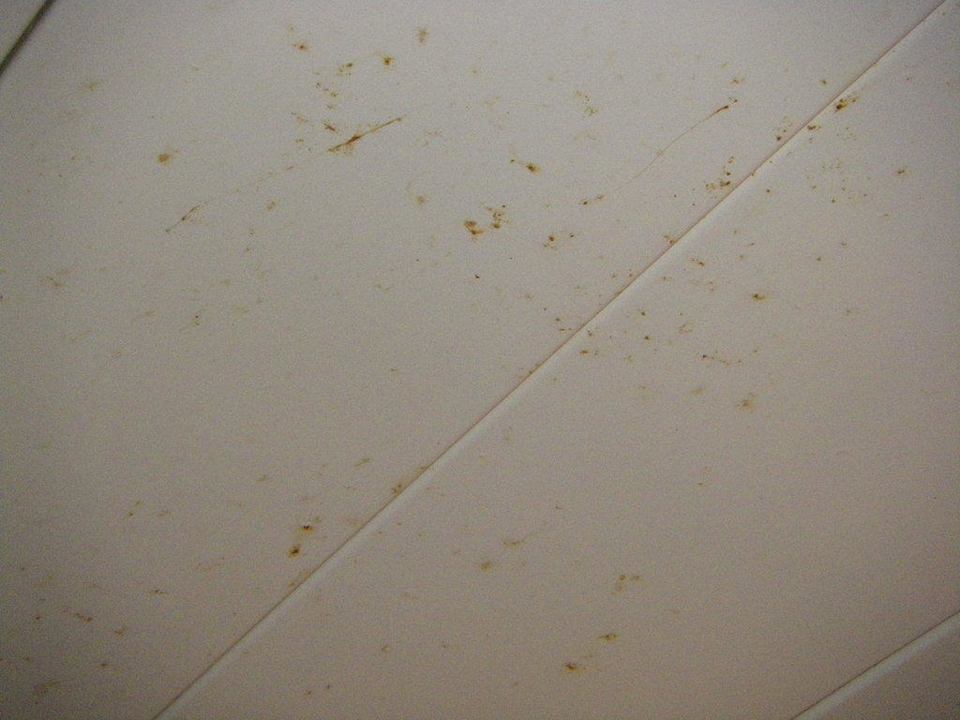 Badezimmer ist eine Zumutung! Regency Plaza Aqua Park & Spa