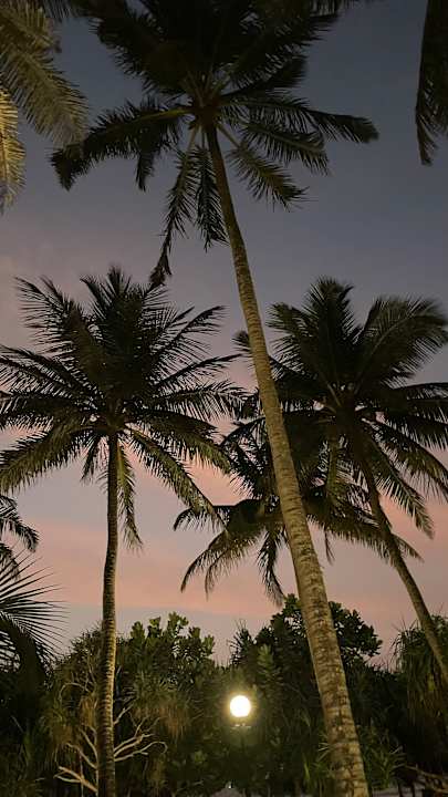 Außenansicht Thaala Bentota