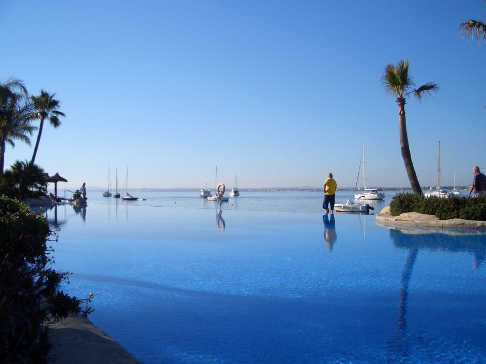 Pool und Meer verschmelzen Alcudiamar Marina Residence