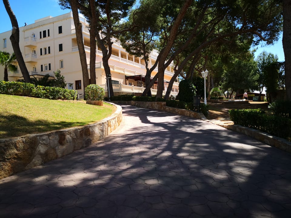 Gartenanlage MLL Palma Bay Club Resort