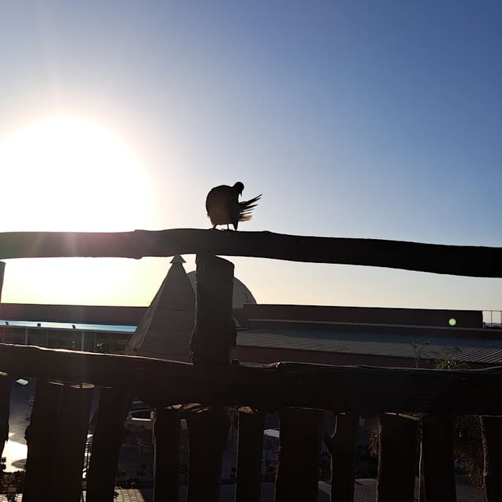 Zimmer Pickalbatros Villaggio Resort - Portofino